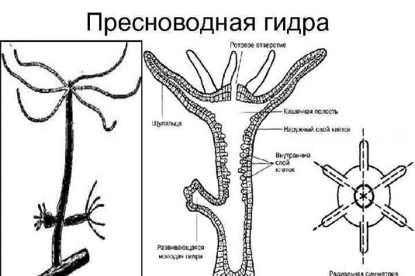 Кракен сайт ссылки актуальные