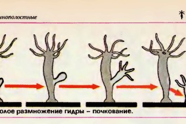 Кракен верификация